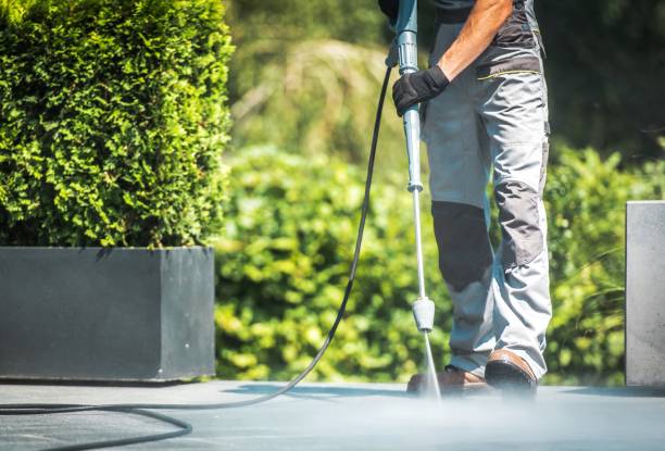 Best Solar Panel Cleaning  in New Boston, TX